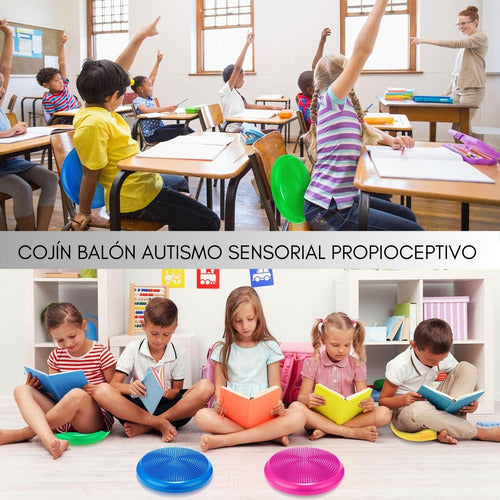 Cojín Balón Autismo Sensorial Propioceptivo Niños Tea - Tdah