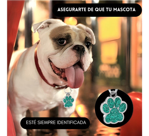 Placa Etiqueta de Identificación para Mascotas Perro y Gatos