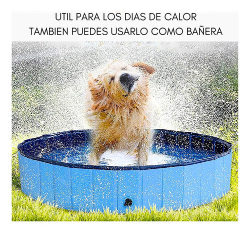 Piscina Perros Verano Piscina Mascota Bañera Plegable 160x30